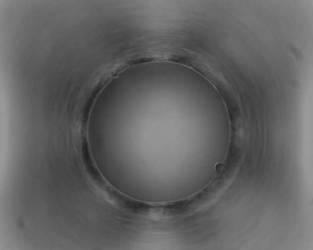 X0000114020641200910091415