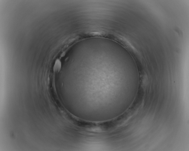 X0000114020643200910091415