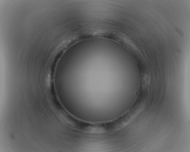 X0000114020644200910091415