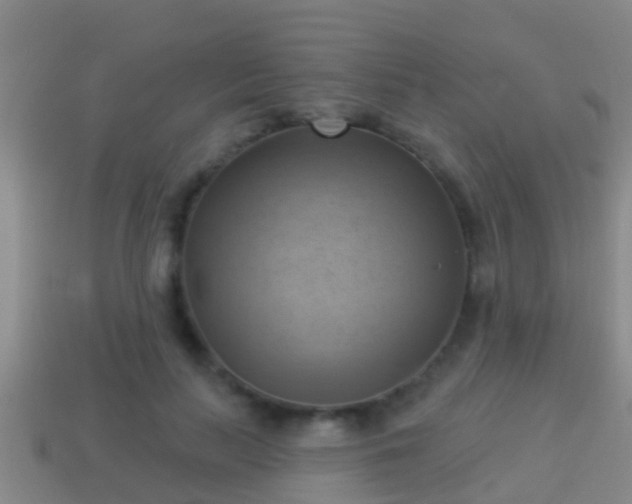 X0000114020647200910091415