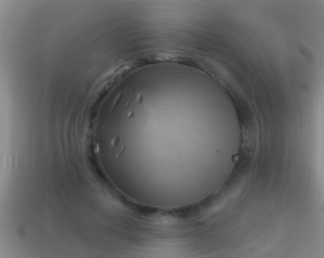 X0000114020648200910091415