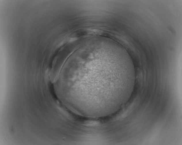 X0000114020649200910091415