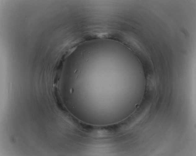 X0000114020650200910091415