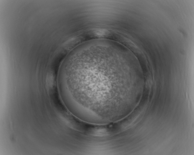 X0000114020651200910091415