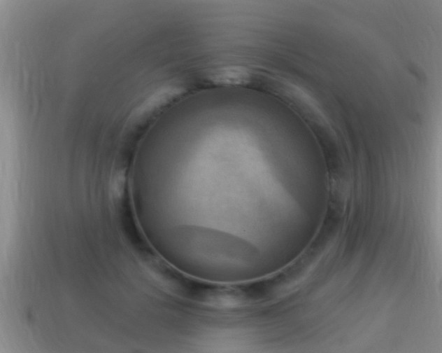 X0000114020652200910091415