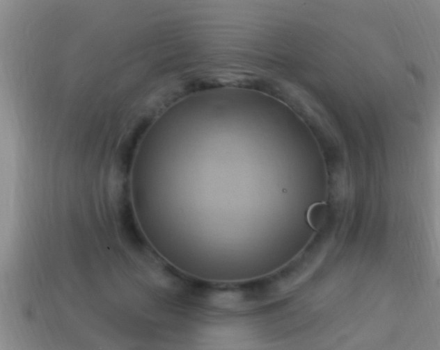 X0000114020653200910091415