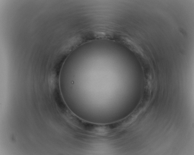 X0000114020659200910091415