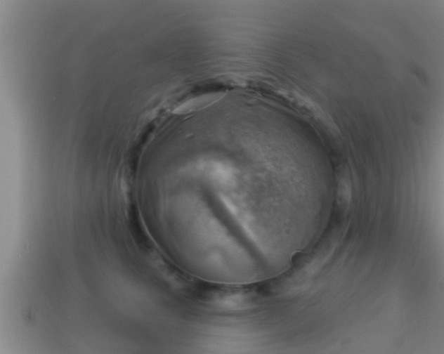 X0000114020661200910091415