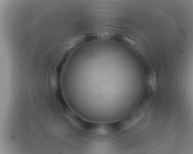 X0000114020663200910091415