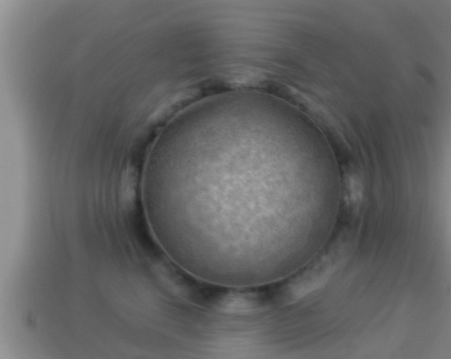 X0000114020664200910091415