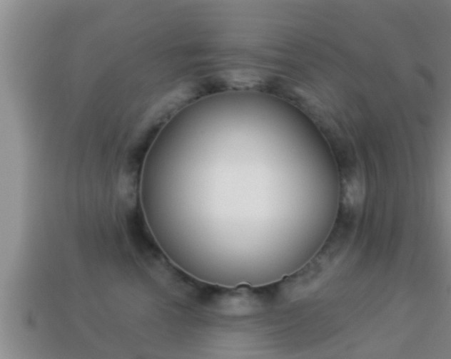 X0000114020666200910091415