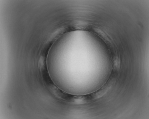 X0000114020667200910091415