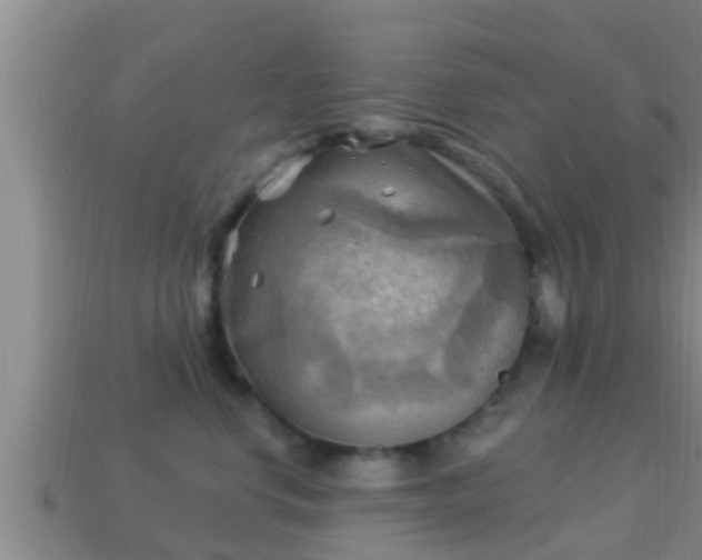 X0000114020668200910091415