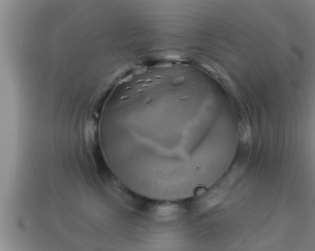 X0000114020669200910091415