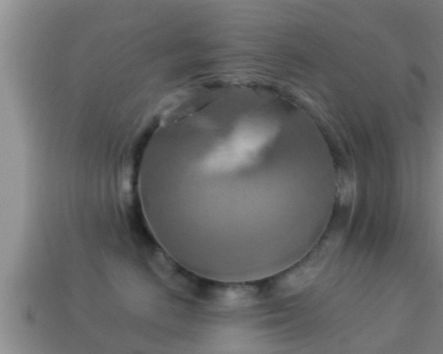 X0000114020670200910091415