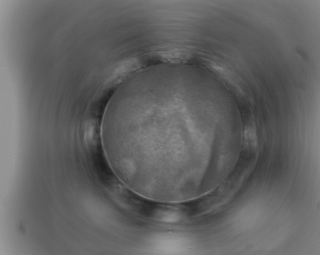 X0000114020671200910091415