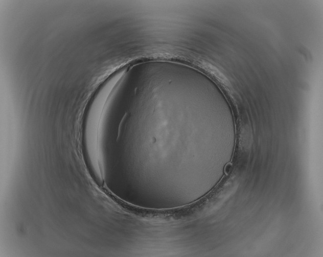 X0000114020673200910091414