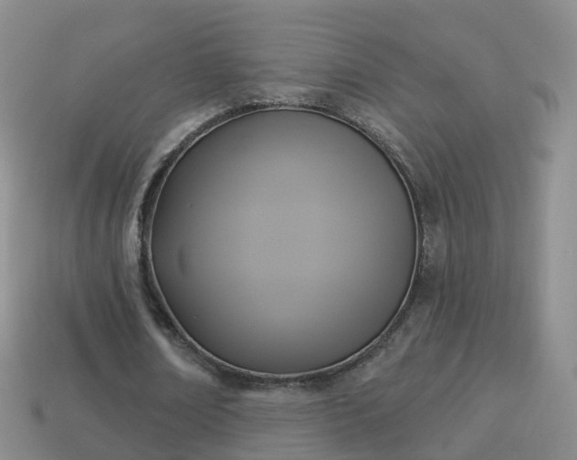 X0000114020674200910091414