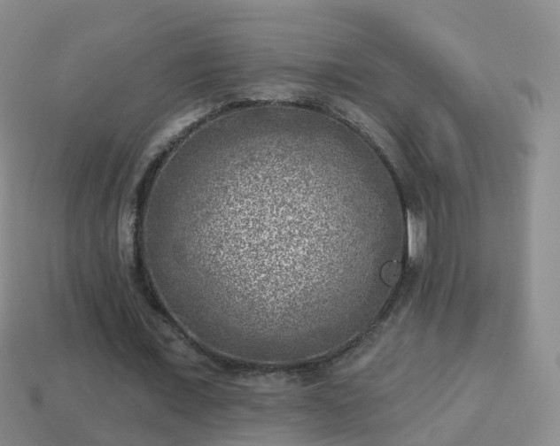 X0000114020675200910091414