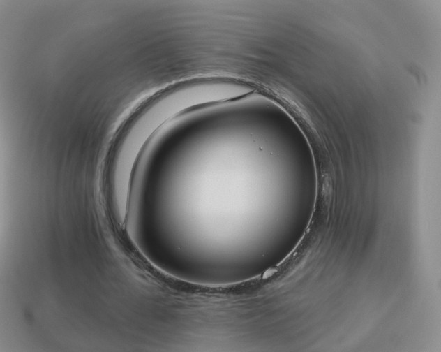 X0000114020676200910091414