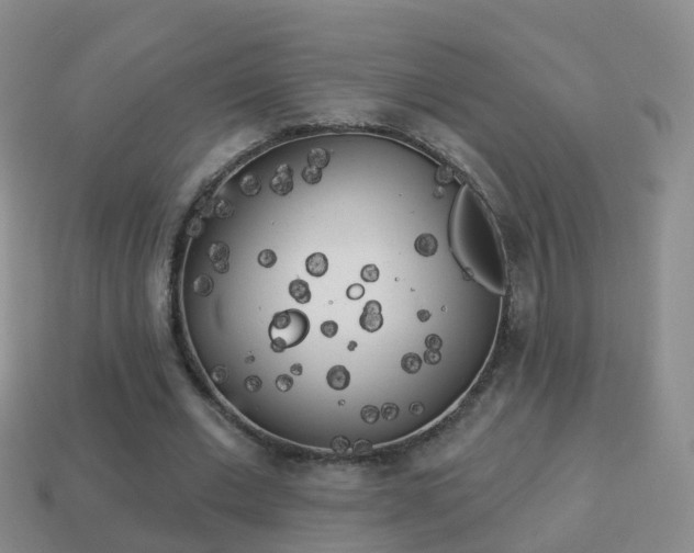 X0000114020677200910091414