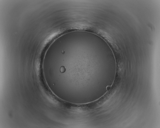 X0000114020679200910091414