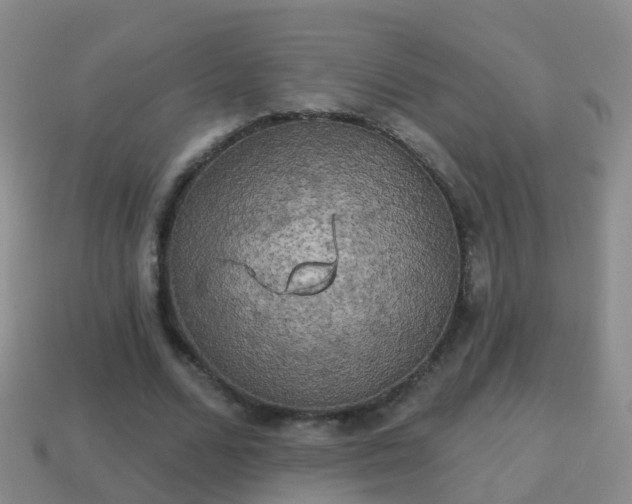 X0000114020680200910091414