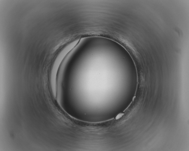 X0000114020681200910091414