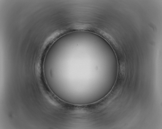 X0000114020682200910091414