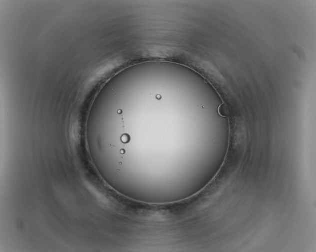 X0000114020683200910091414