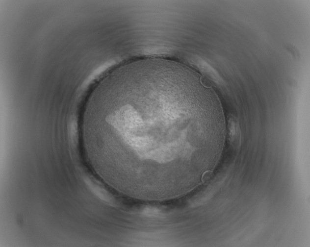 X0000114020684200910091414