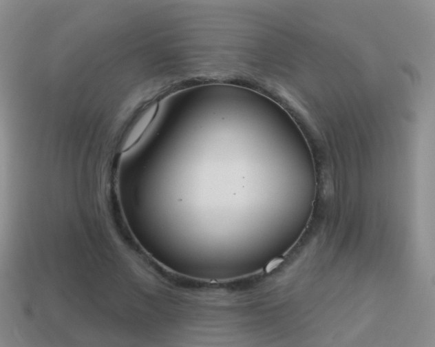 X0000114020685200910091414