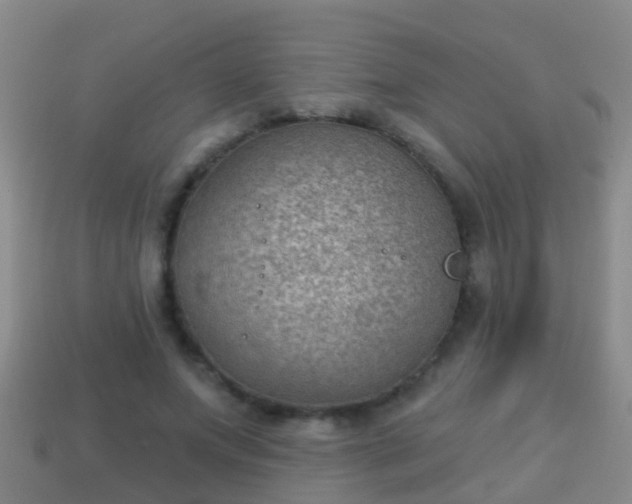 X0000114020687200910091414