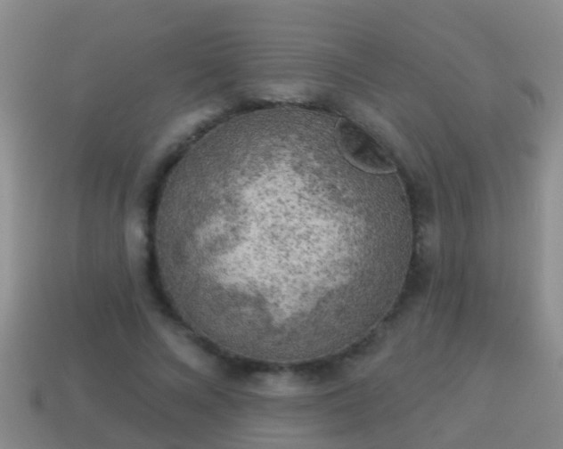 X0000114020688200910091414