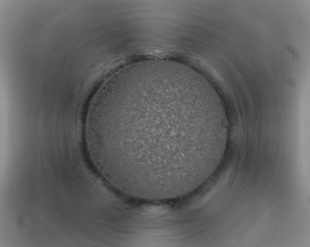 X0000114020689200910091414