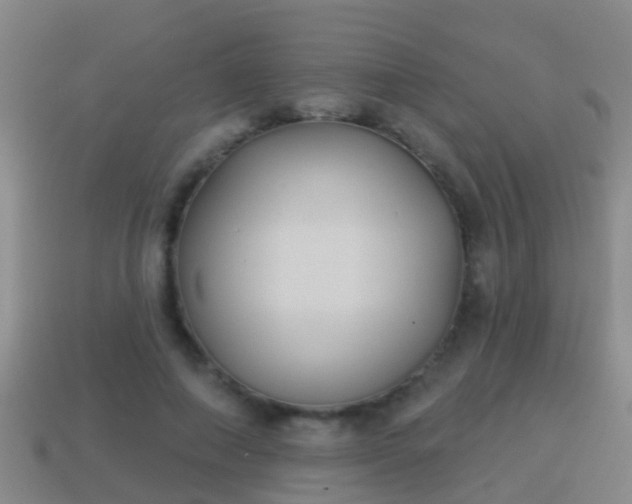 X0000114020690200910091414