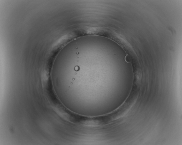 X0000114020691200910091414