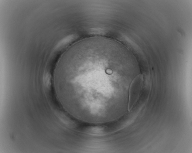 X0000114020692200910091414