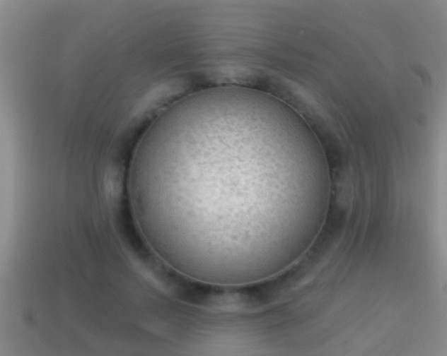 X0000114020695200910091414