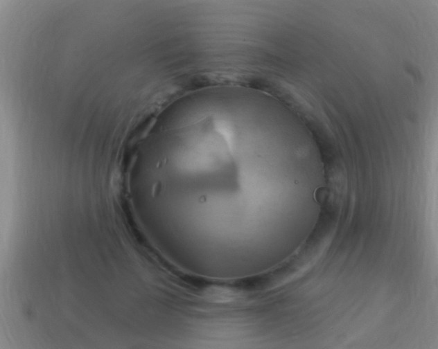 X0000114020699200910091414