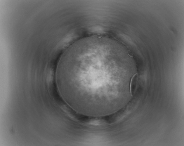 X0000114020708200910091414