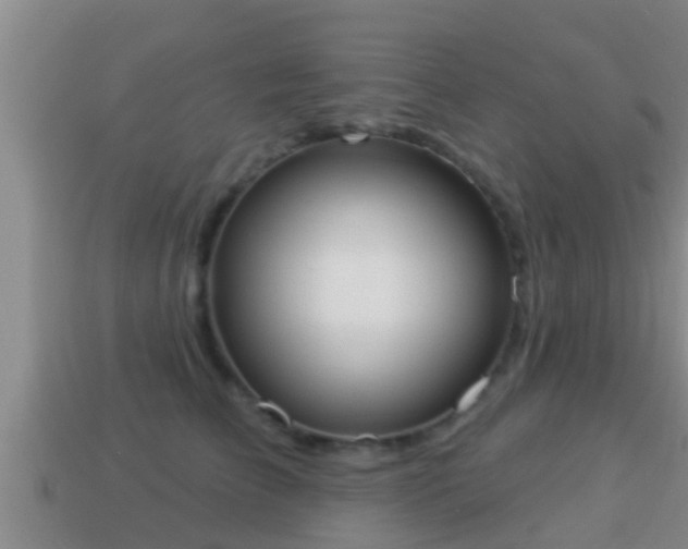 X0000114020709200910091414