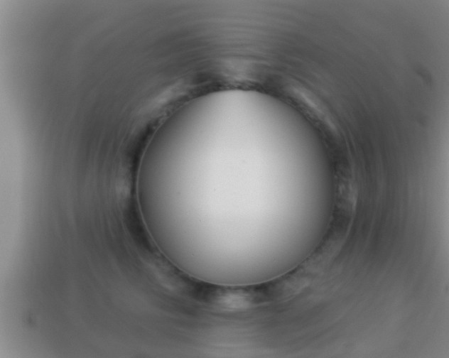 X0000114020710200910091414