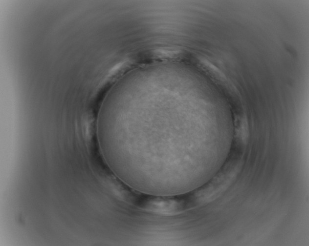 X0000114020712200910091414