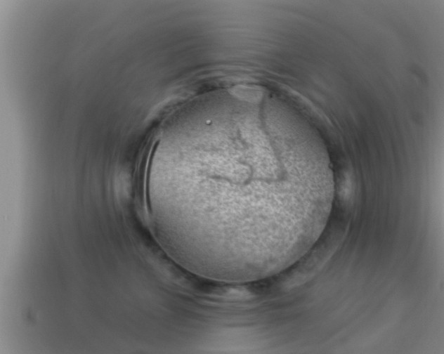 X0000114020715200910091414