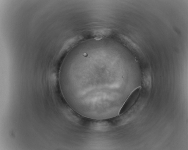 X0000114020716200910091414