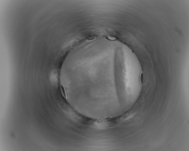 X0000114020720200910091414