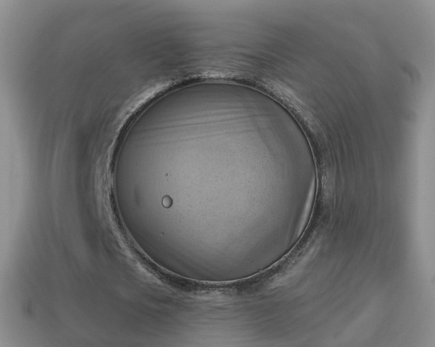 X0000114020721200910091413