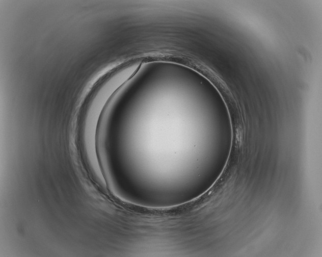 X0000114020724200910091413