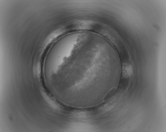 X0000114020726200910091413